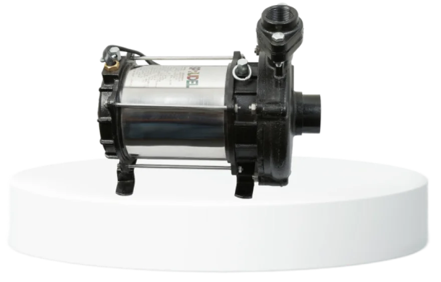 RO Pump